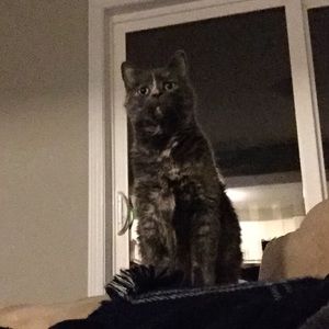 Meet your Posher, Sam